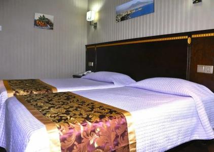 B&B Drago D'Oro - 13