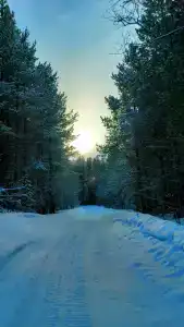База отдыха "Кица ДСС" - 3