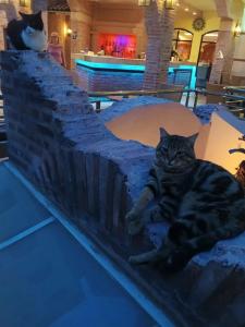 Limak Arcadia Sport Resort Belek - 37