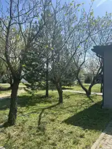 Rybolovnaya baza Klevoe Nikolskoe - 13