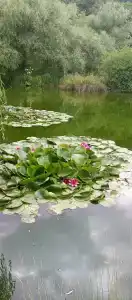 Apaga Resort - 12