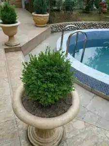 АНДАЛУСИЯ - 29