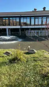 Prirodnyy park Oleniy - 79