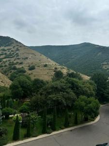 Best Western Aghveran - 38