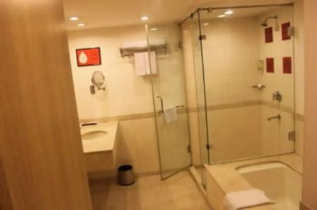 Red Fox, Jaipur - 74