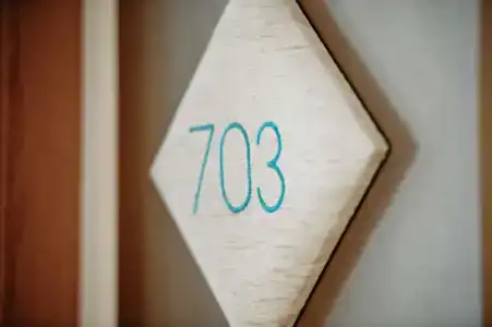 Gala Placidia 3'''Sup - 17