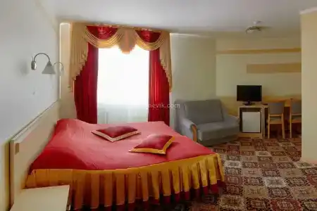 Gostinitsa Rossiya - 99