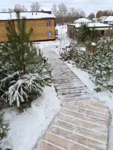 База отдыха Лесная Скаzка - 90