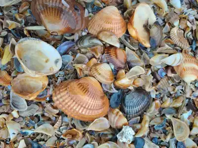 Khalachi Apart-hotel - 12