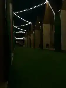 Zhemchuzhina Yuga Tourist base - 62