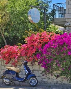 Bademli Konak Otel - 16