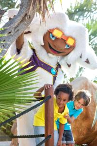 Sol Pelicanos Ocas - 14