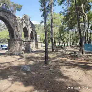 Armas Kaplan Paradise - 13