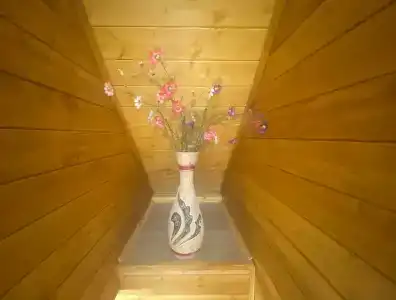 Ladozhskaya Rivyera - 77