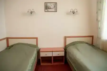 all-Russian Scientific Research Geological Institute. A. P. Karpinsky - 93