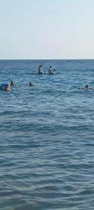 ЛетоoтеЛь - 61