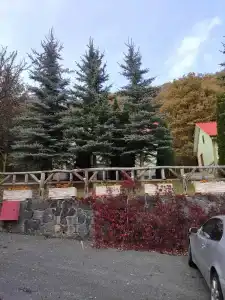 Alva & Spa - 57