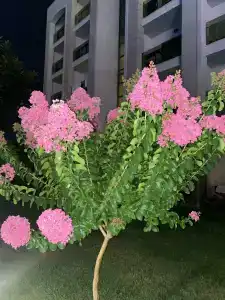 Horus Paradise Resort - Ultra All Inclusive - 65