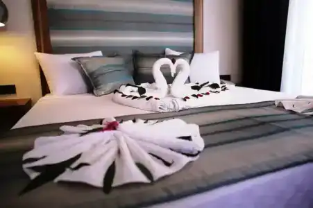 Cle Beach Boutique - 22