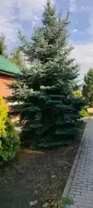 Tihaya Gavan Tourist base - 27