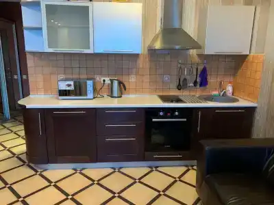 Светлана Плюс - 96