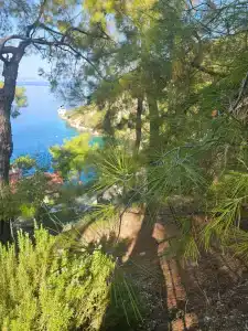 Hillside Beach Club - 44