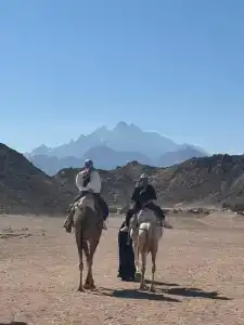 Mirage Bay Resort & Aqua Park - 45