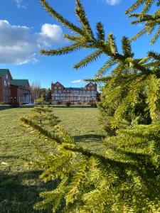 Alexandrovskaya Sloboda - 15