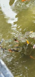 Antique Roman Palace - 43