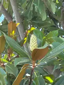 Akka Antedon - Premium All Inclusive - 98