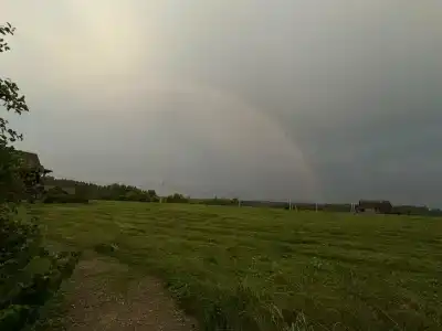 Eko Vankovo Farm - 53