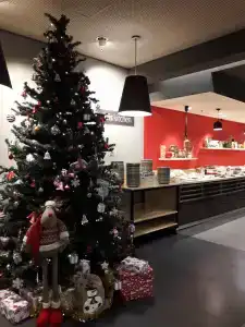 Ibis Kaliningrad Tsentr - 83