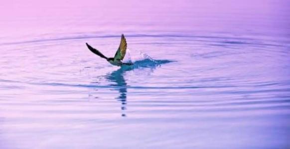 Datca Villa Asina - 45