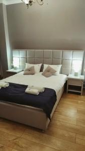 Apart-Otel Aleksandr Apart-hotel - 51