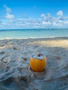 Riu Palace Mauritius - All Inclusive - Adults Only - 45