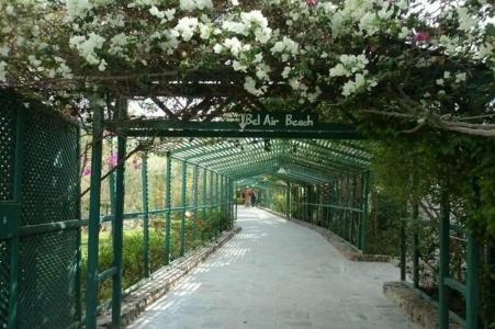 Bel Air Azur Resort - 83