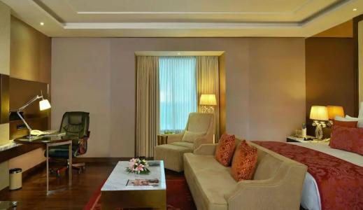 Radisson Blu Jaipur - 76