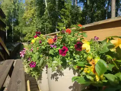 Vesna Tourist base - 47