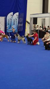 Hampton by Hilton Saint-Petersburg ExpoForum - 79