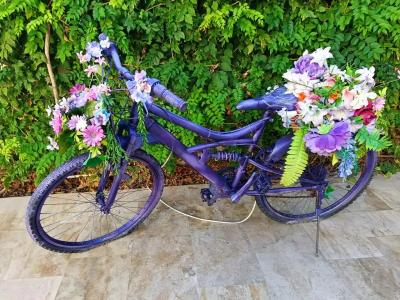 Ayaz Aqua - All Inclusive - 31