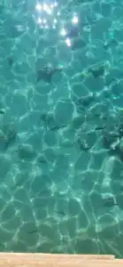 Sharm Resort - All Inclusive - 10