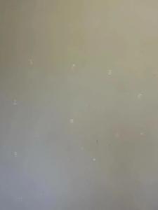 Камыши база отдыха - 44