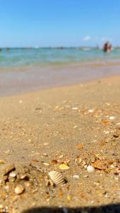 ЛетоoтеЛь - 39