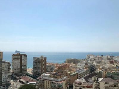 Climia Benidorm Plaza - 6