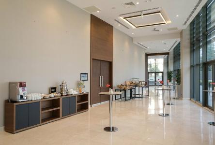 Radisson Blu Ankara Cankaya - 95