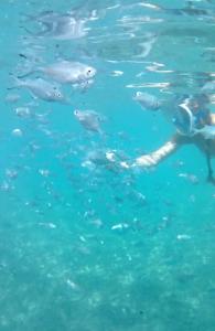 Le Jardin Resort Holiday Village - 82