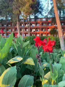 Aqi Pegasos Resort - 17