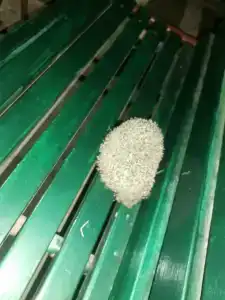 Recreation center Lukoyl - 44