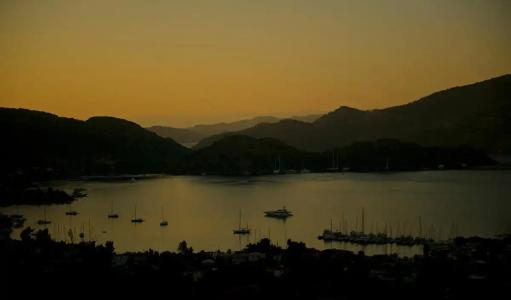 Swan Lake - Adult Only - 46