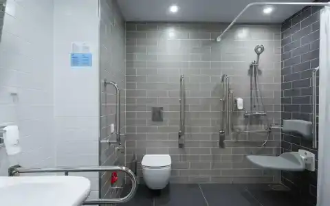 Holiday Inn St Petersburg - Theatre Square - 82